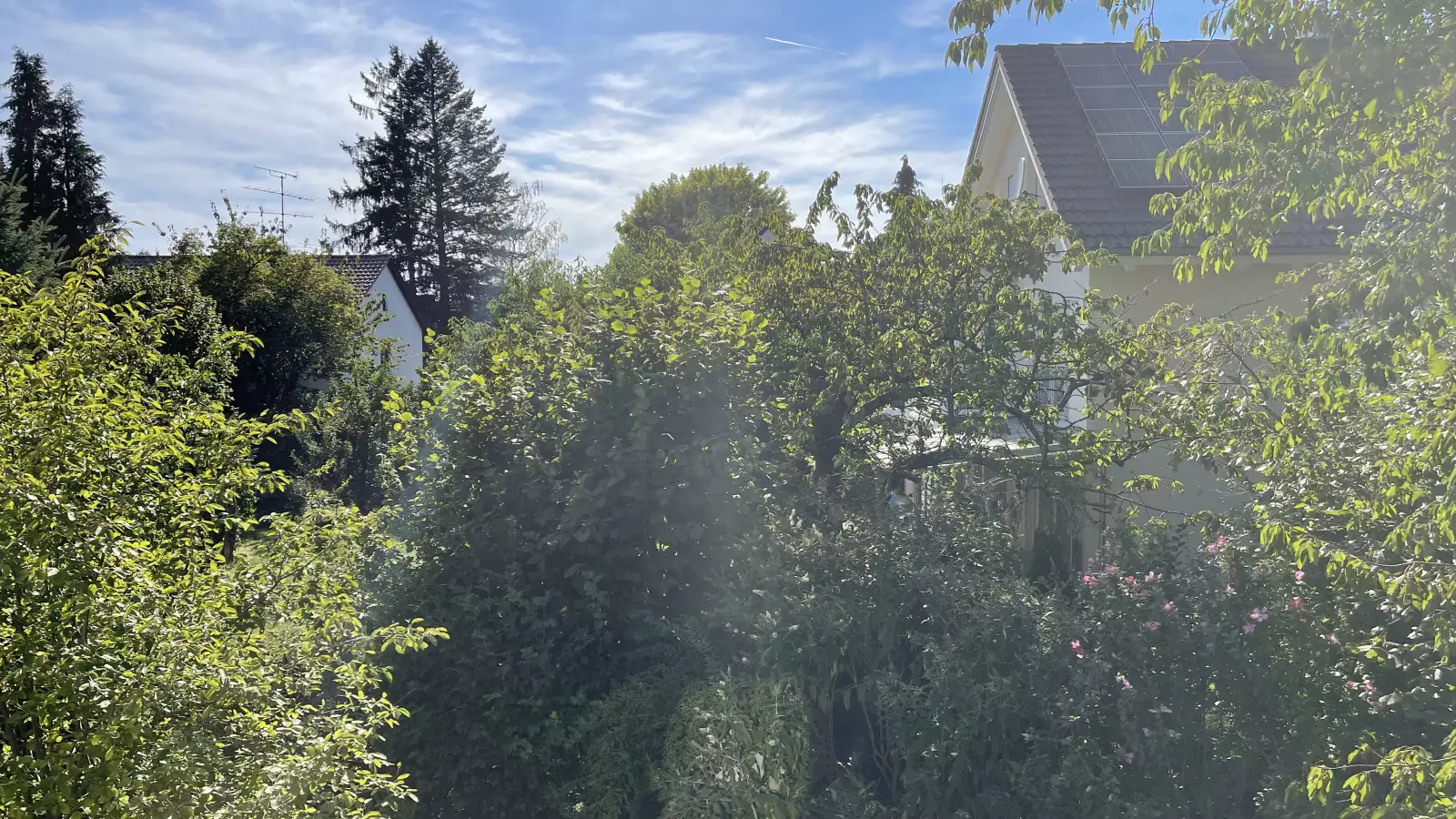 Wohnung Betschartstraße in München