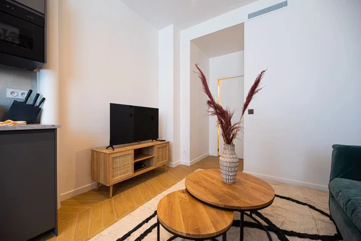 Flat Rue Saint-Lambert in Paris