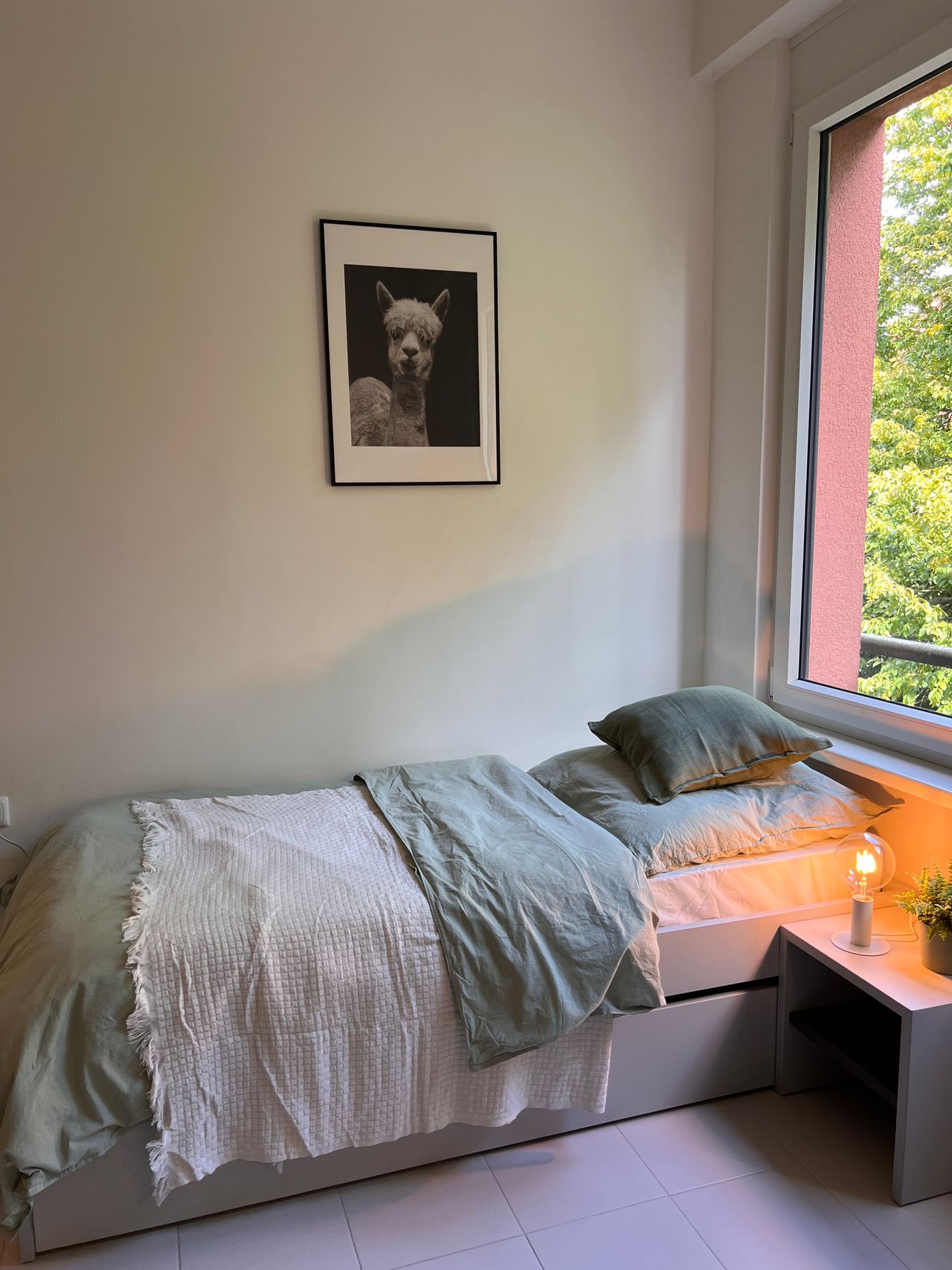 Wohnung Königin-Luise-Straße in Berlin