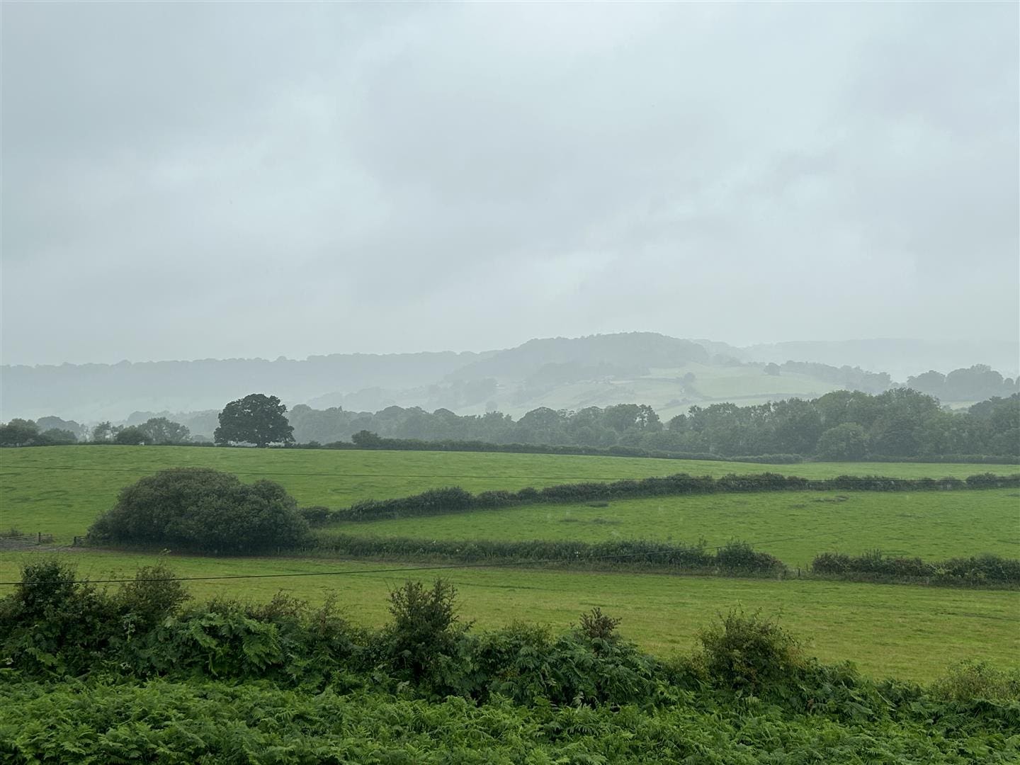House Red Scar Lane in Newby and Scalby