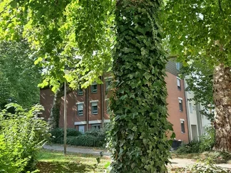 Wohnung Kronprinzenstraße in Dortmund