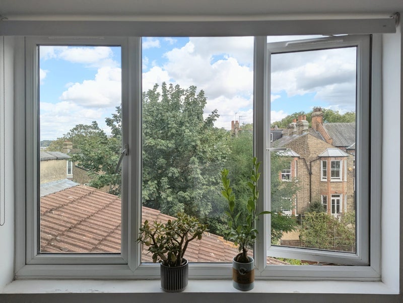 Room Falmer Road in Greater London