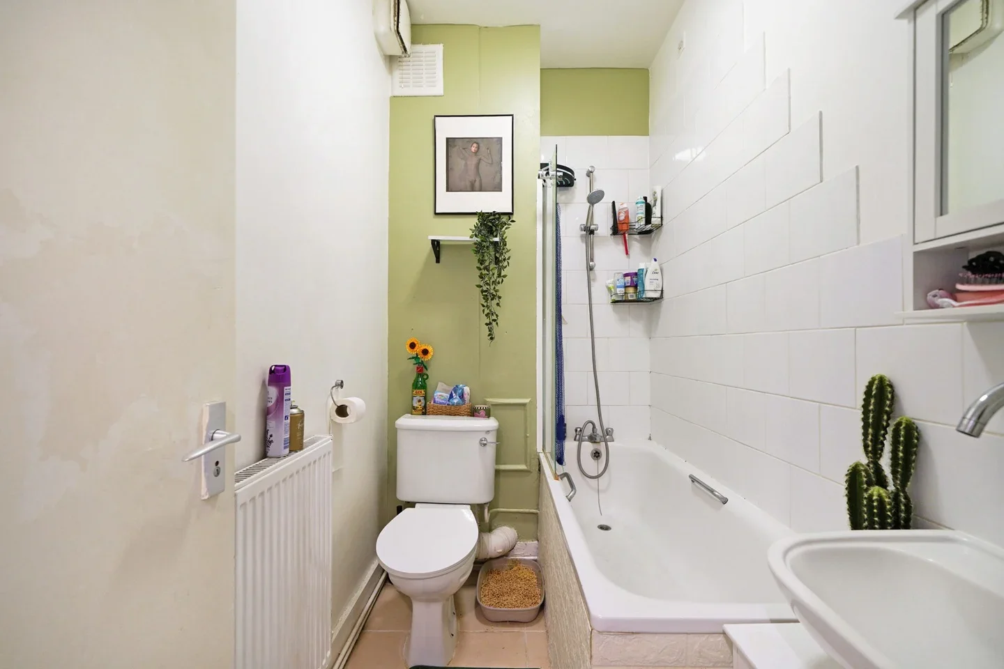 Flat Roden Street in Greater London
