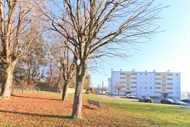 Flat Rue Jules Émile Zingg in Valentigney