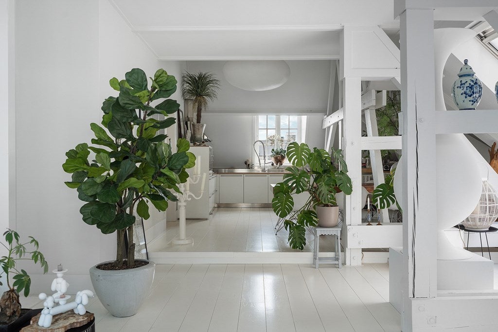 Woning te huur: Burchtstraat, Nijmegen