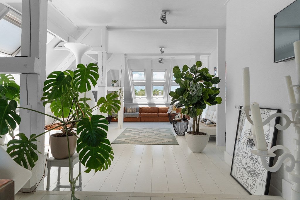 Woning te huur: Burchtstraat, Nijmegen