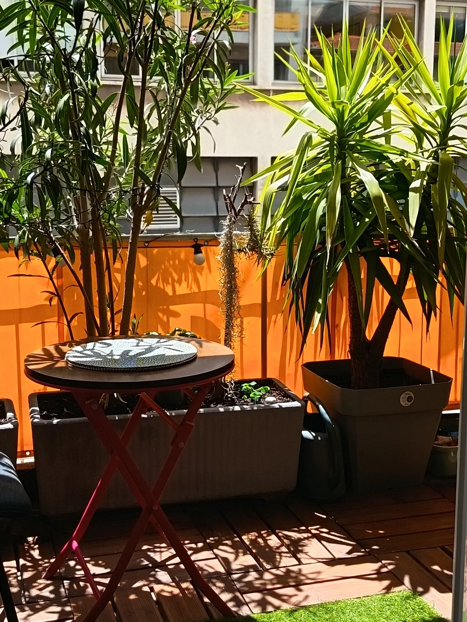 Room Rue Bavastro in Nice