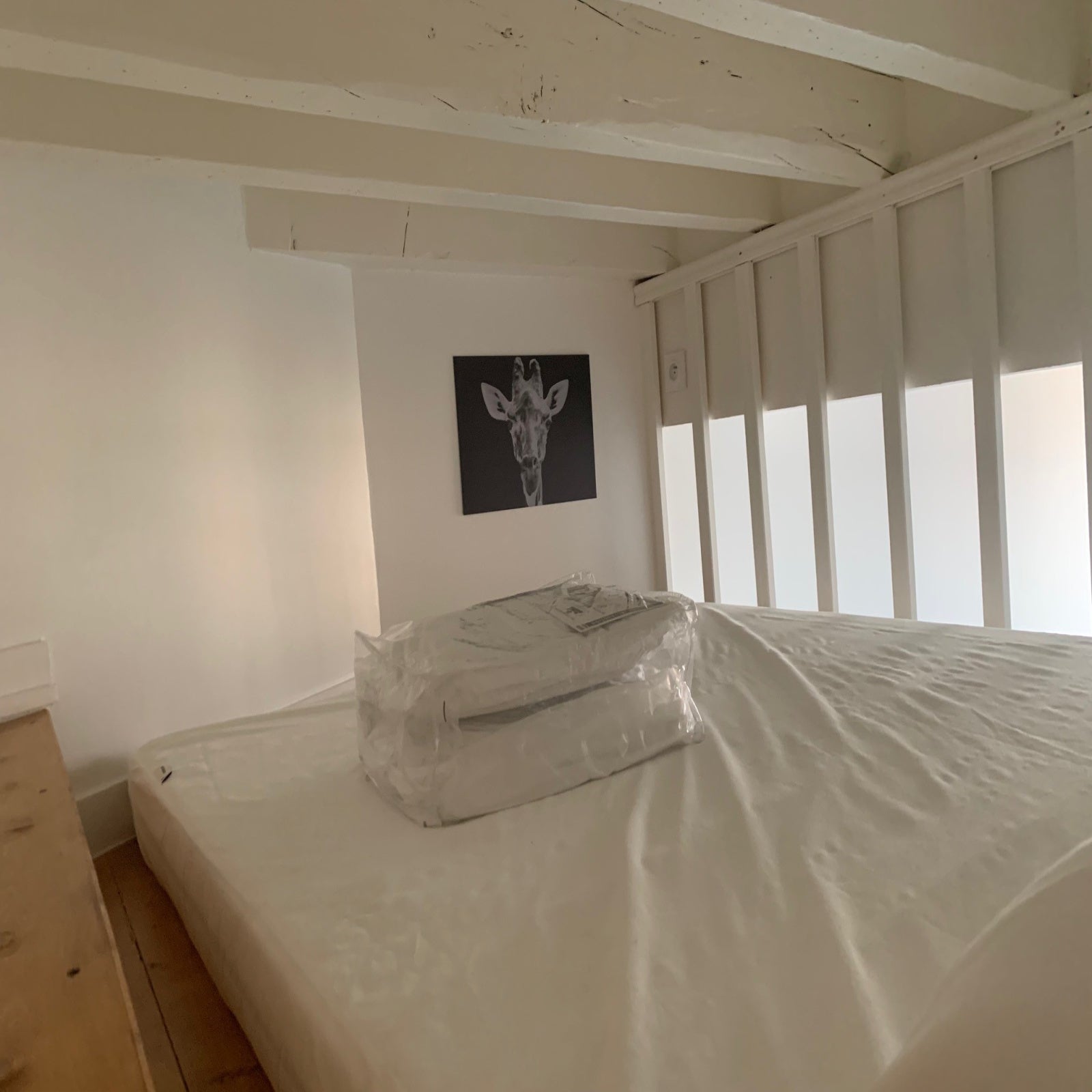 Appartement Rue de la Charité à Lyon