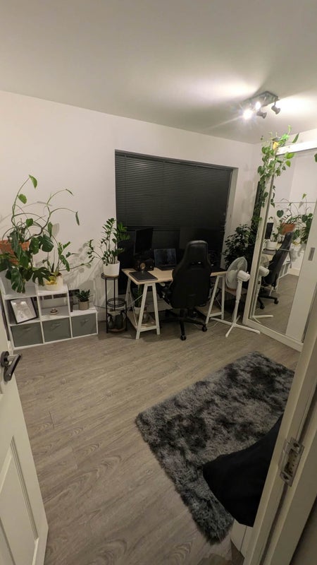 Room Vine Court in Greater London