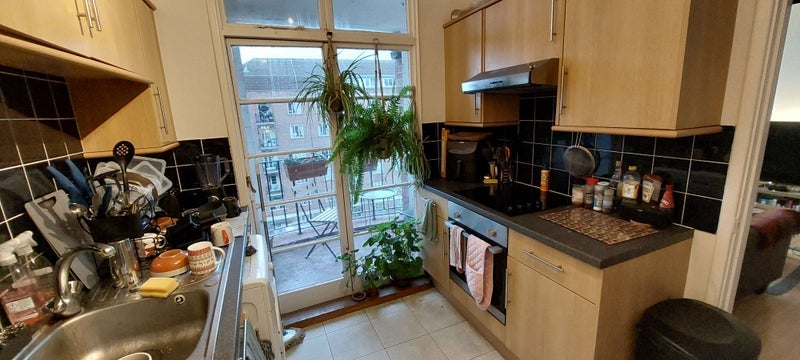 Room Iron Mill Road in Greater London