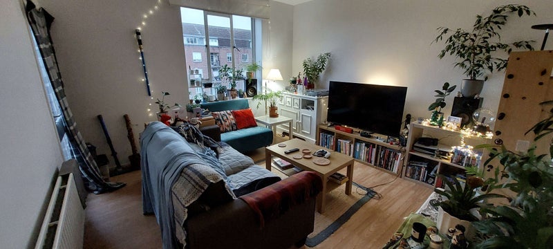 Room Iron Mill Road in Greater London