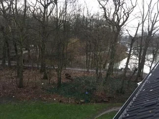 Wohnung Allensteiner Ring in Duisburg