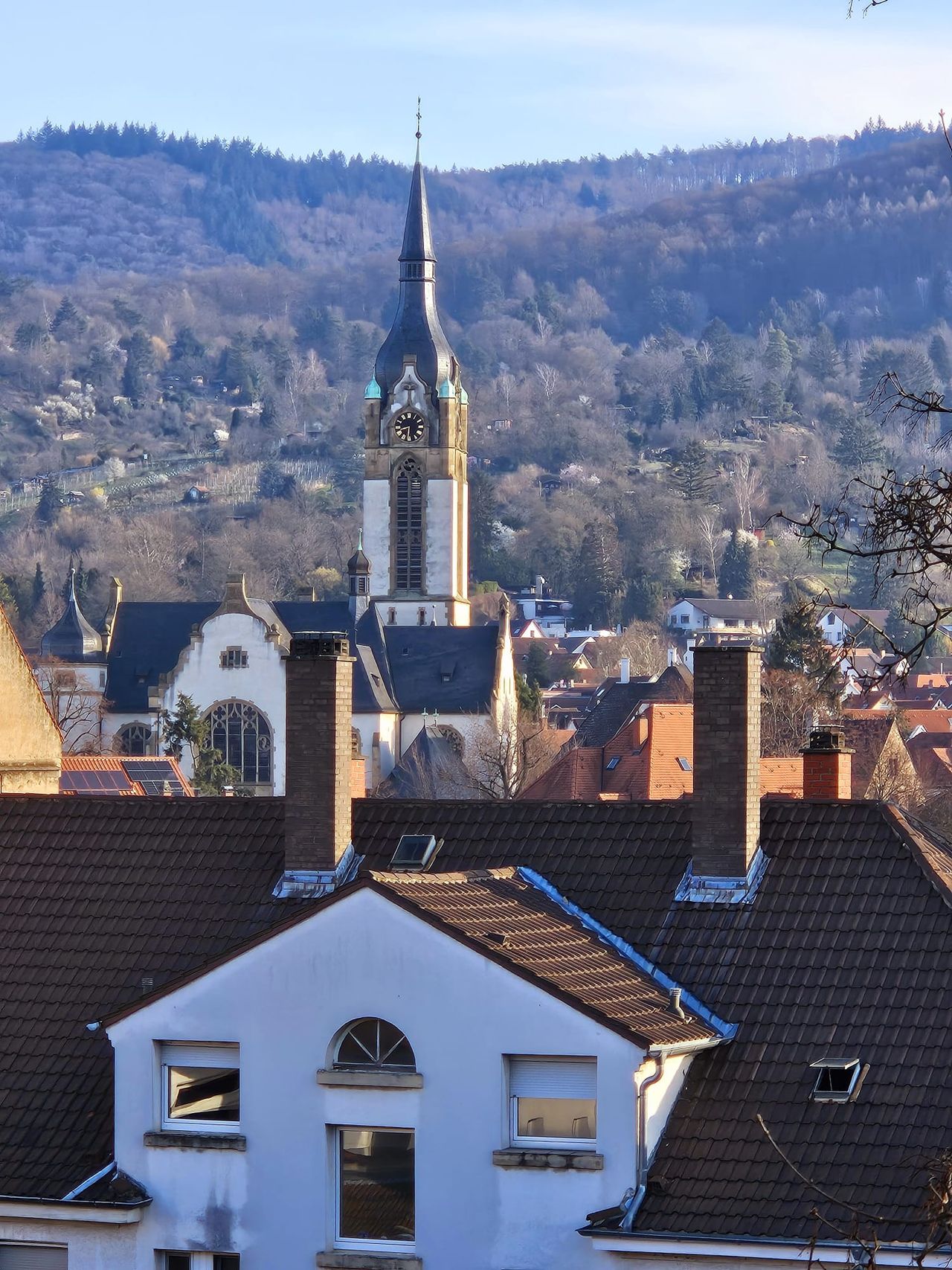 Wohnung Rottmannstraße in Heidelberg