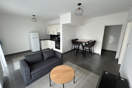 Flat Rue Jean Monnet in Strasbourg
