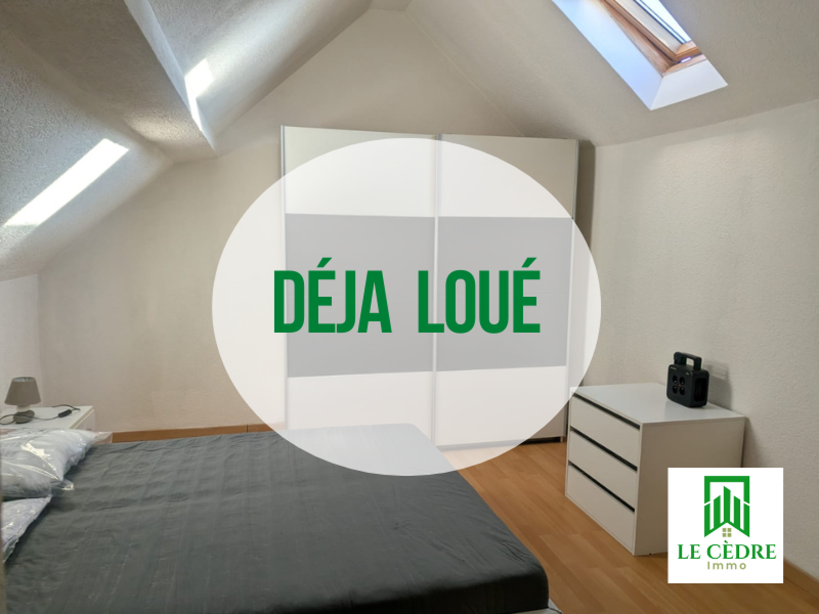 Appartement Rue du Rhin à Blotzheim