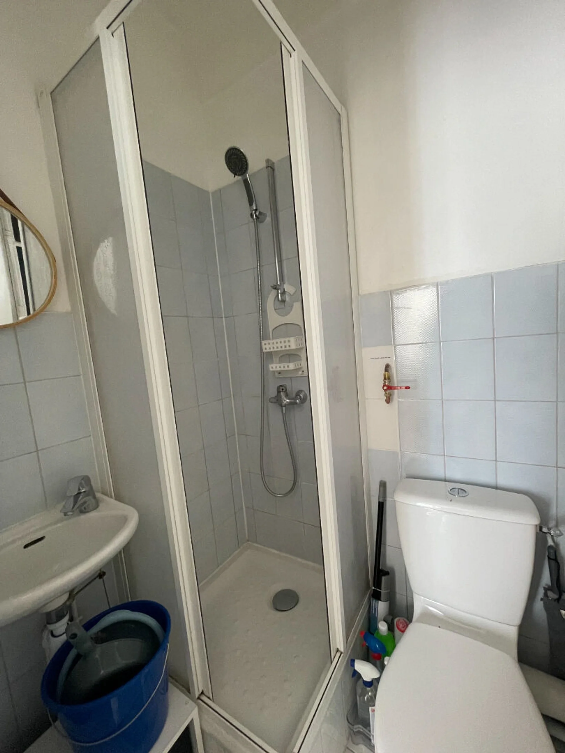 Flat Rue Brancion in Paris
