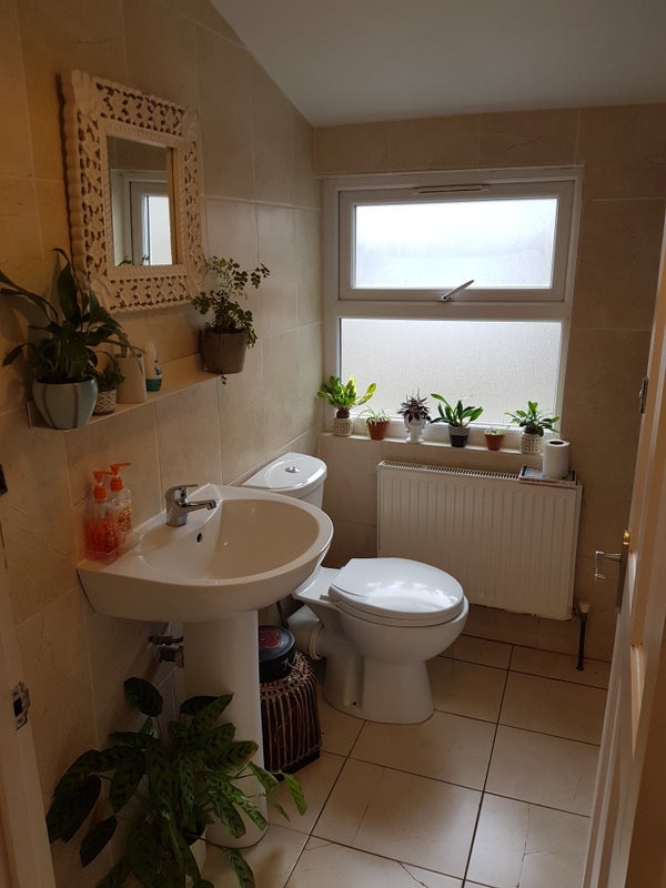 Room Anstey Road in Greater London