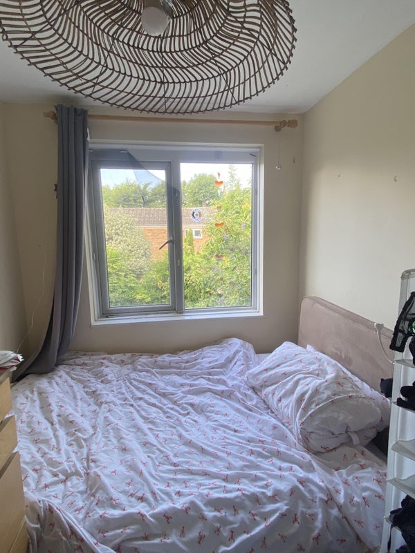Room Bushey Down in Greater London
