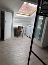 Chambre Rue Cuvier à Lyon