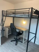 Chambre Rue Cuvier à Lyon