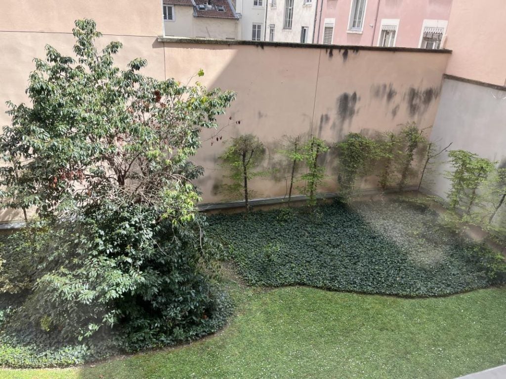 Flat Rue Masséna in Lyon