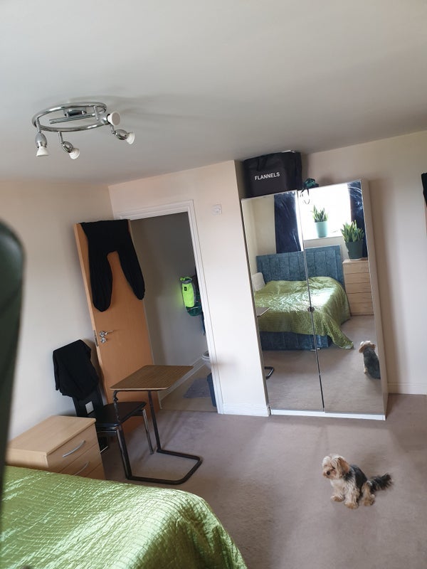 Room Compair Crescent in Ipswich