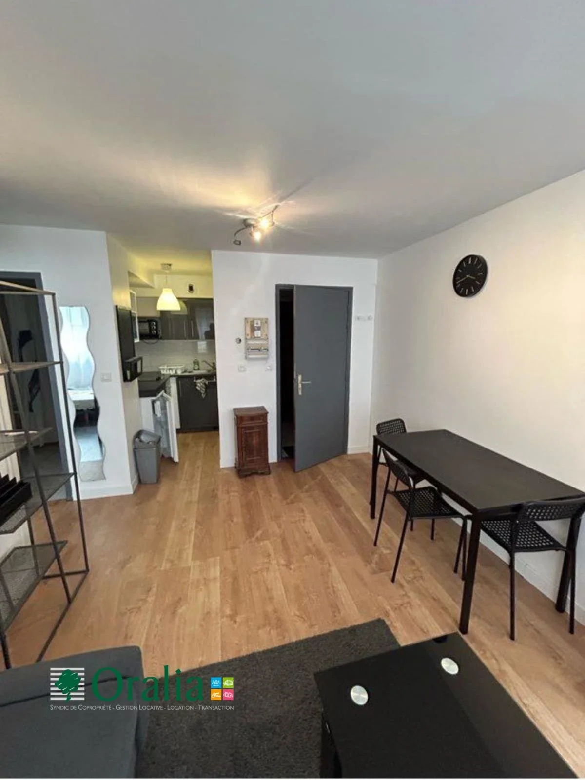 Appartement Chemin des Marronniers à Grenoble