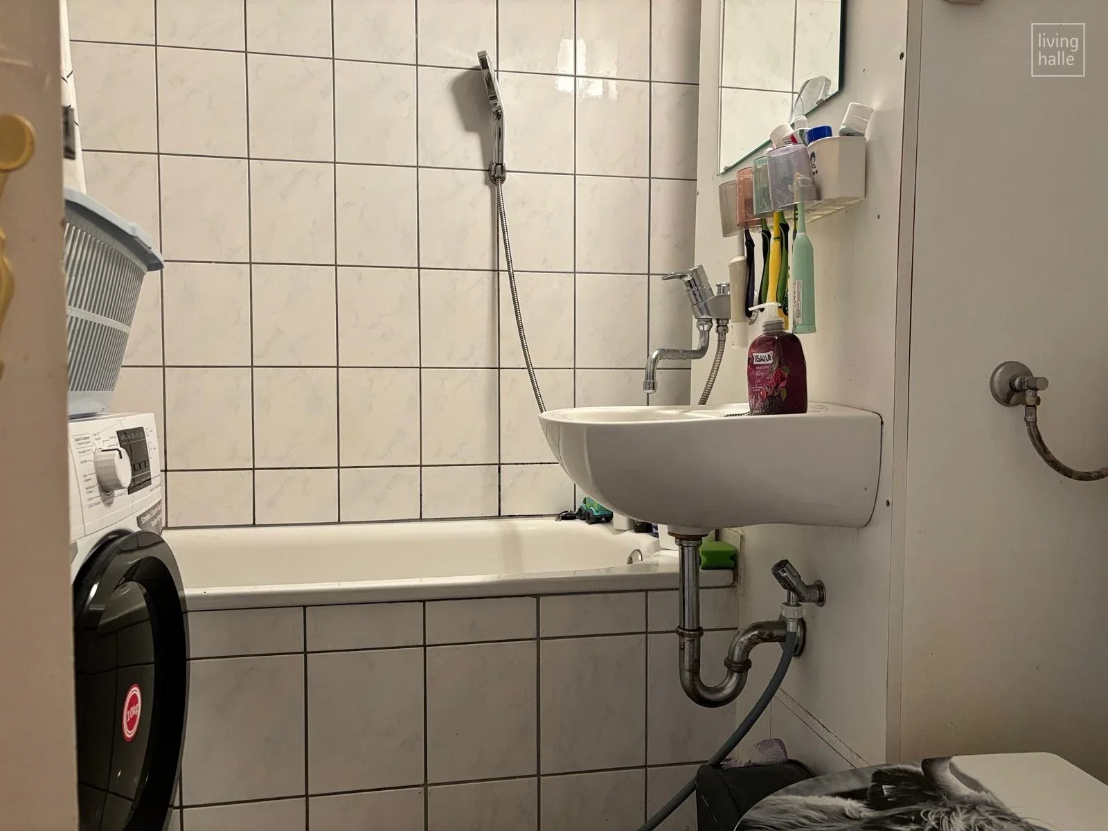 Wohnung Lise-Meitner-Straße in Halle (Saale)