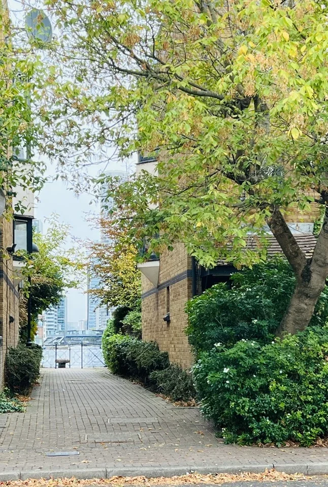House Taeping Street in Greater London