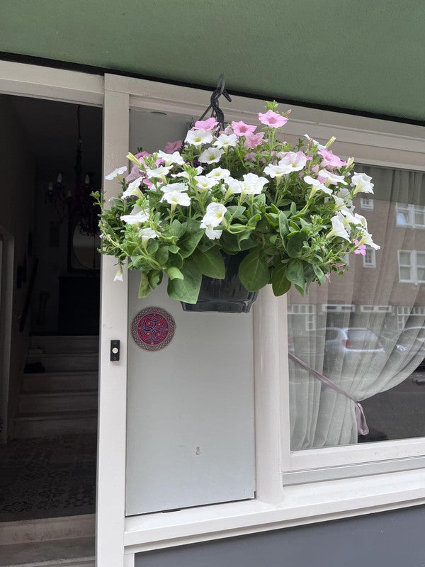 Appartement Van Bossestraat in Amsterdam