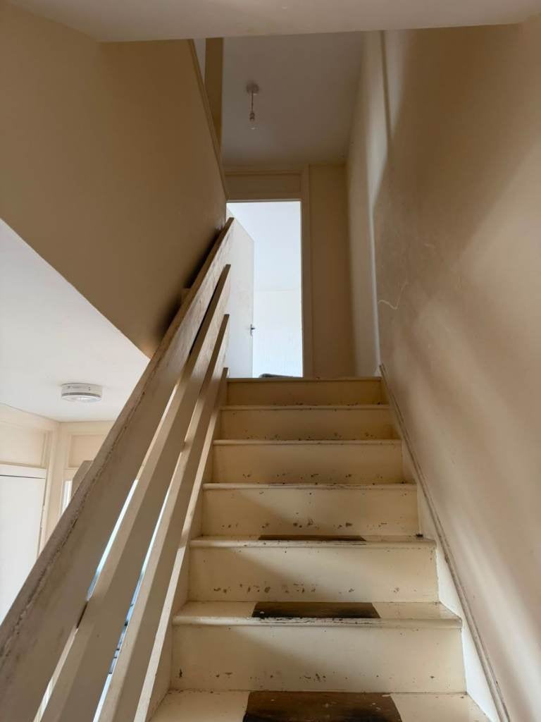 Flat Fernbank in Livingston