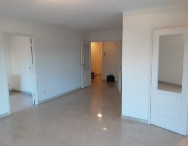 Appartement Cours Docteur Long à Lyon