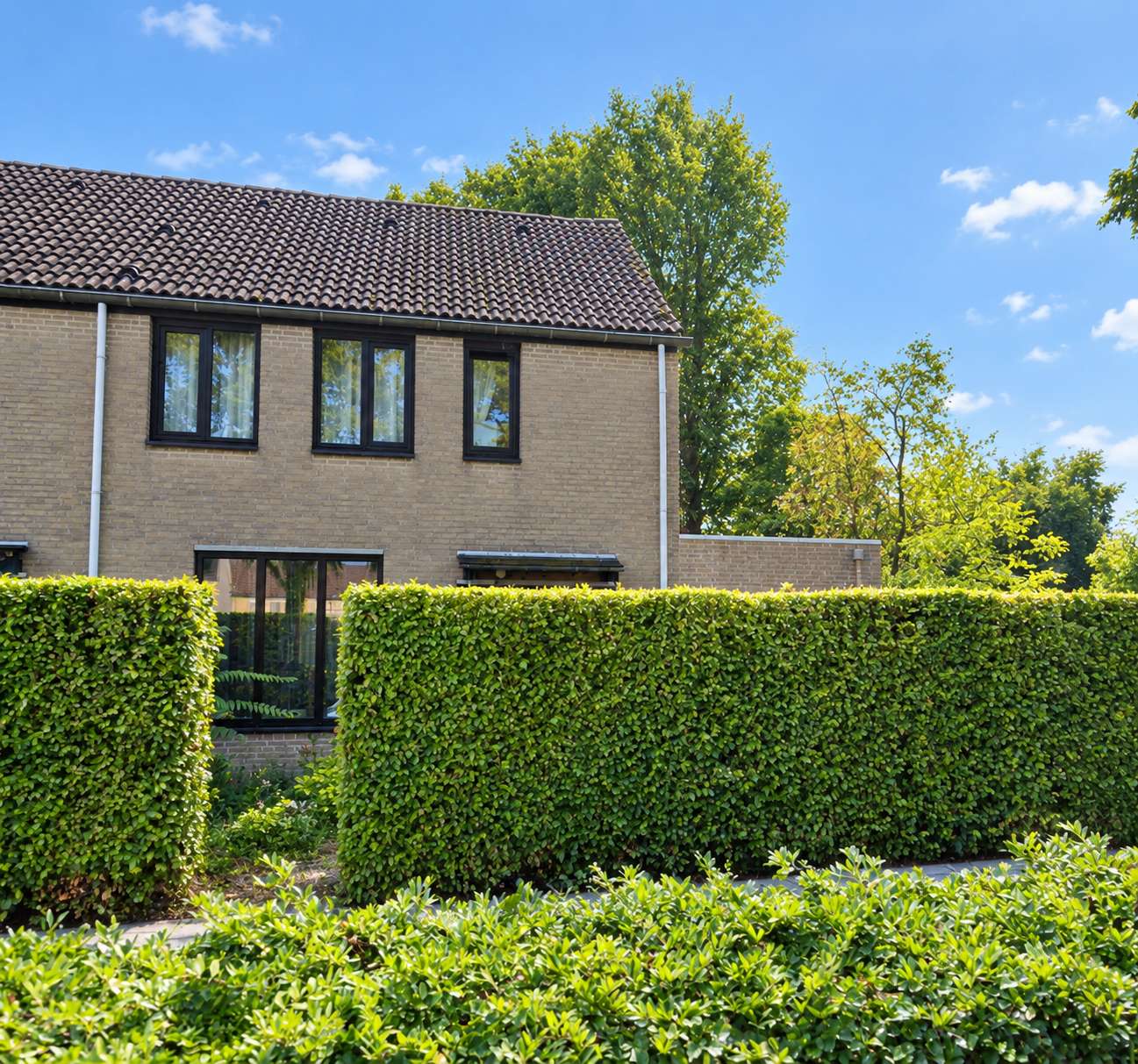Huis De Plank in Veldhoven