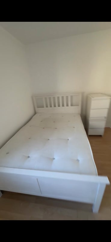 Room Hotspur Street in Greater London