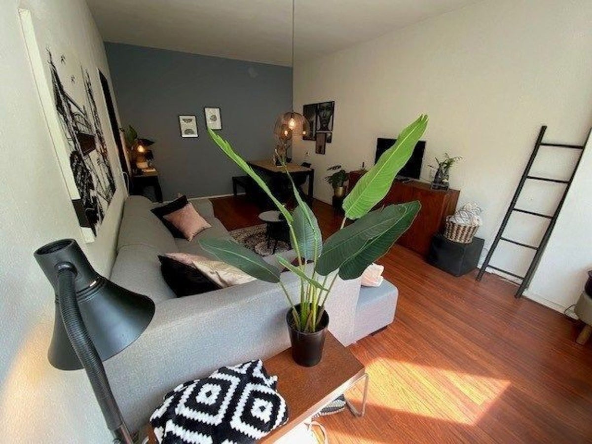 A rental house advertisment