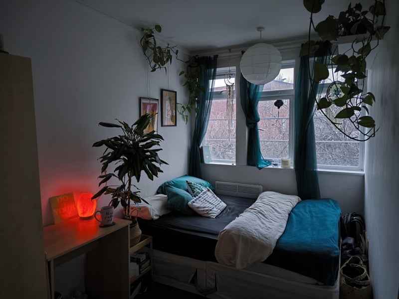 Room Effra Road in Greater London