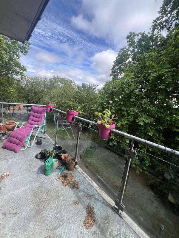 Room Birdwood Avenue in Greater London