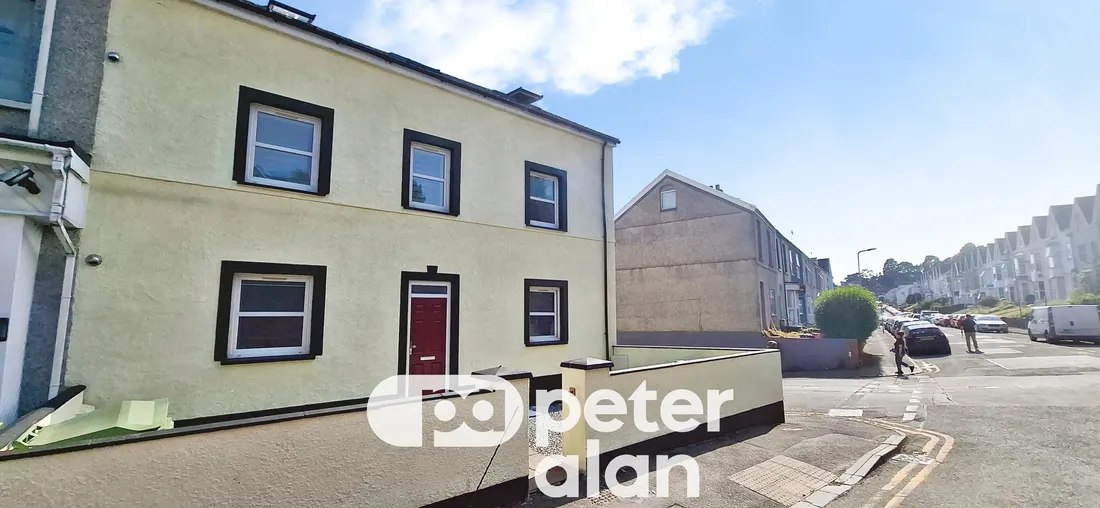 Flat Hanover Street in Swansea