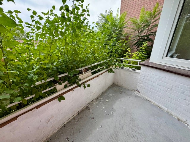 Wohnung Sachsenweg in Lütjenburg