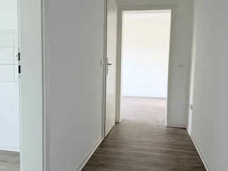 Wohnung Liliengasse in Dresden