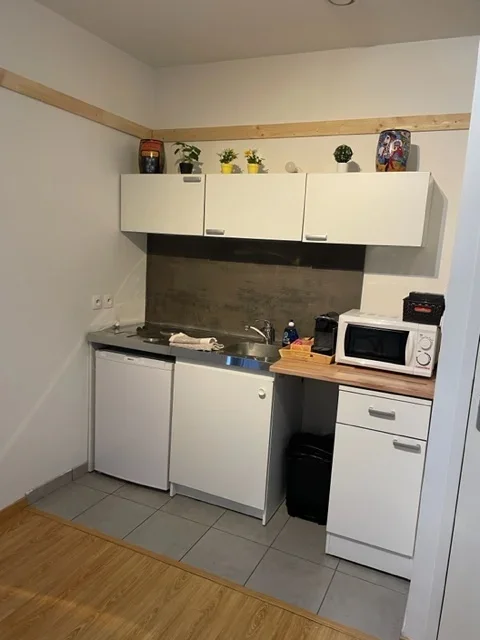 Appartement Chemin de l'Aigas à Tassin-la-Demi-Lune