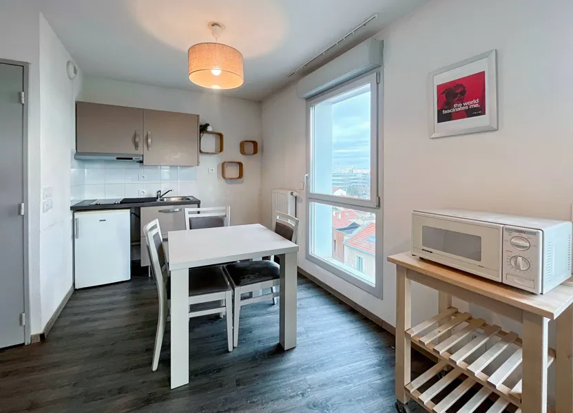 Appartement Rue Antoine Lumière à Lyon