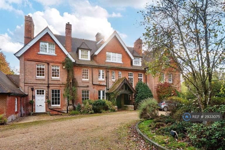 Flat Canterton Lane in New Forest