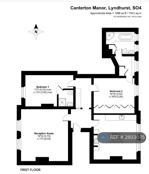 Flat Canterton Lane in New Forest