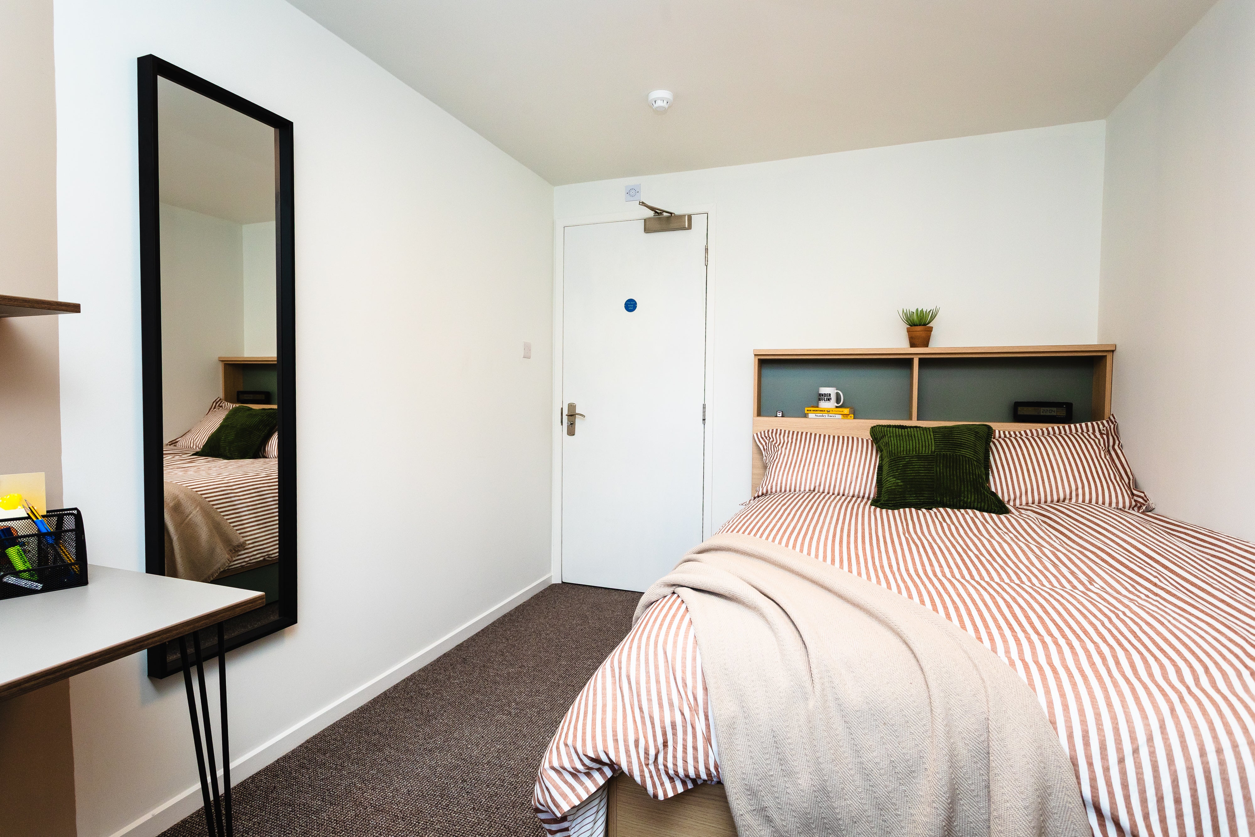 Room Holland Drive in Newcastle upon Tyne