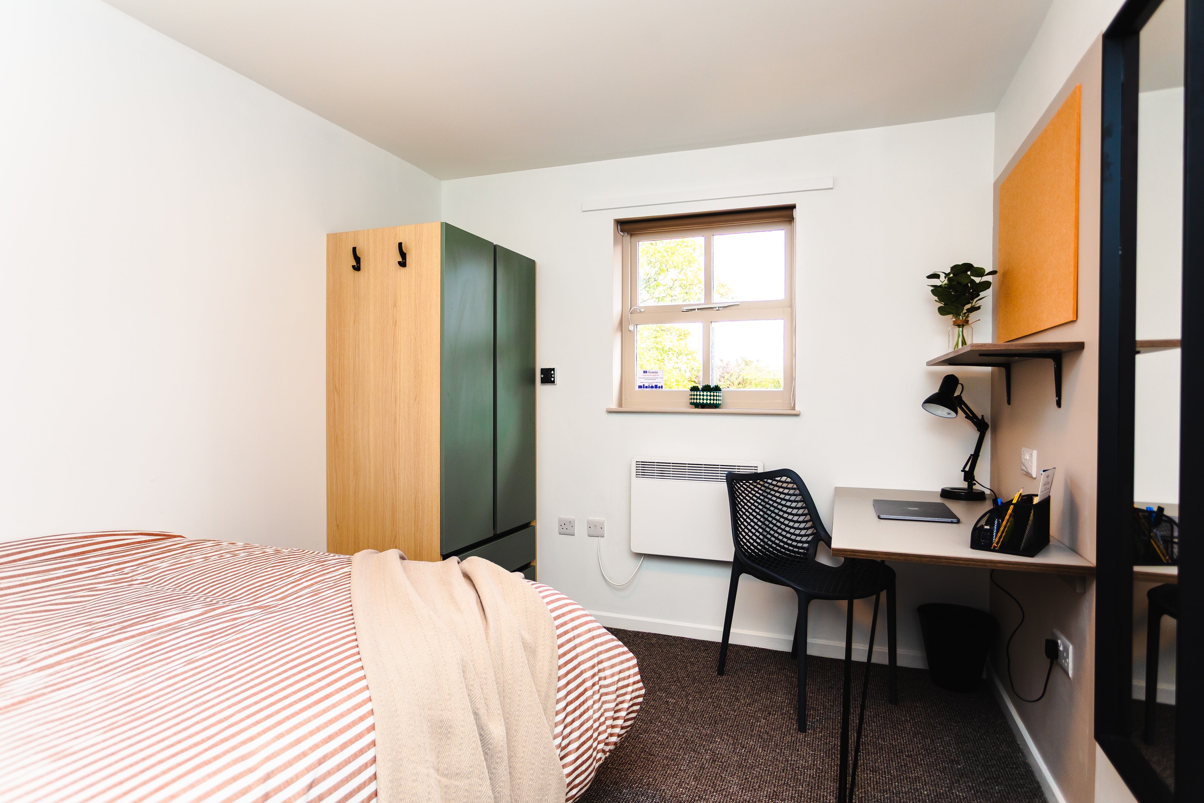 Room Holland Drive in Newcastle upon Tyne
