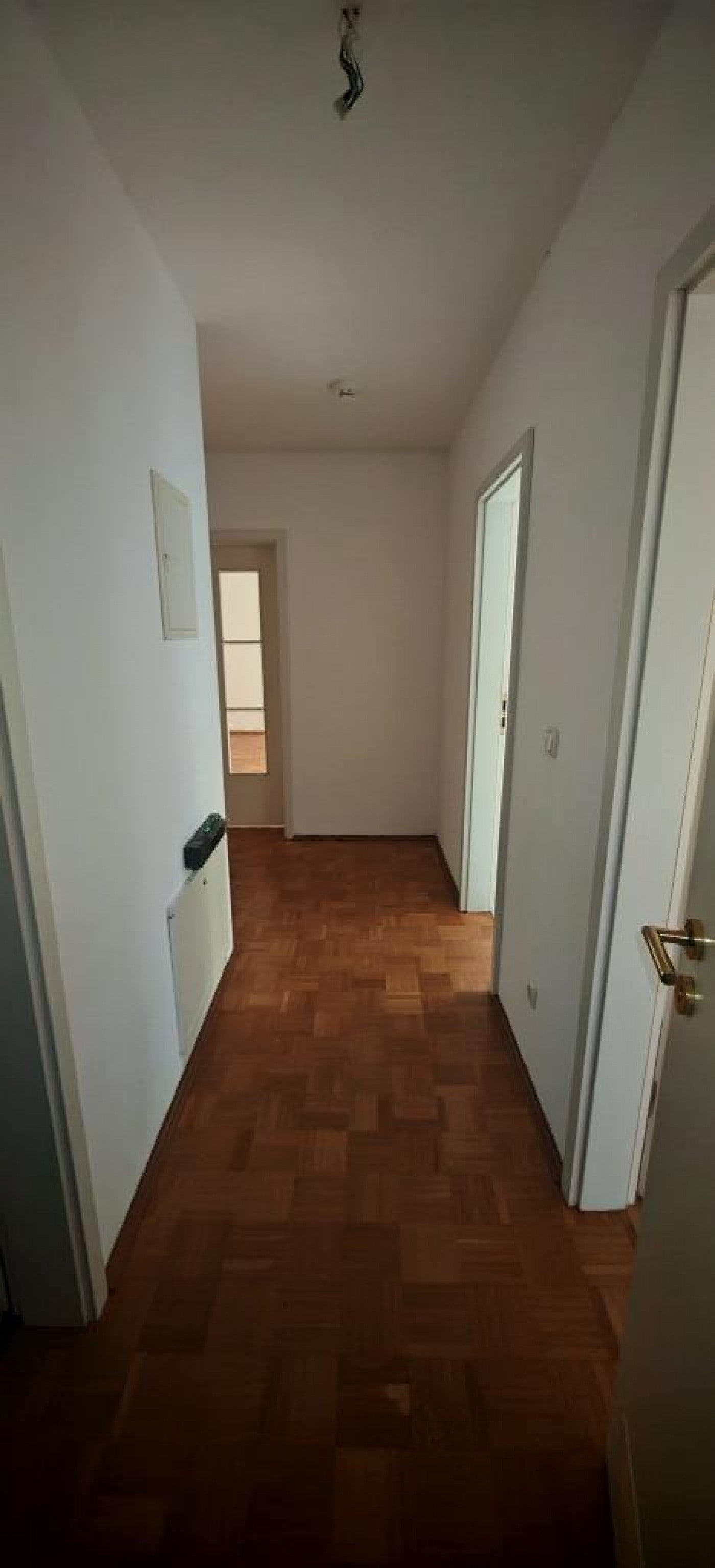 Wohnung Schlüterstraße in Dresden