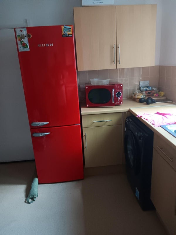 Room Bellenden Road in Greater London