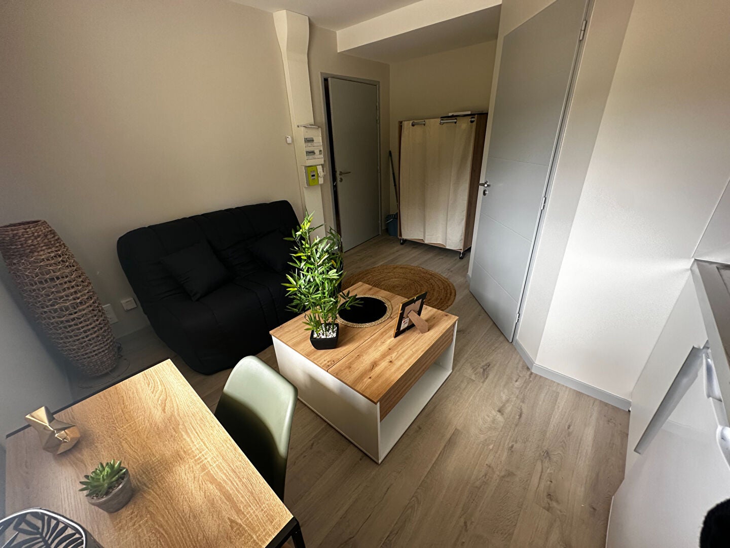 Chambre Rue du Docteur Laurent Camboulives à Albi