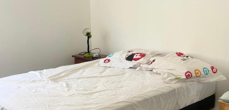 Flat Place Louis Lebret in Lyon